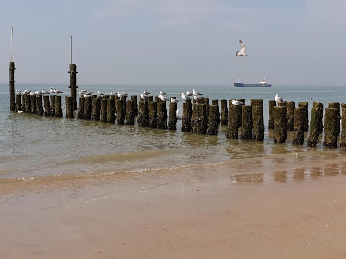 Rijksmonument Havenzicht, Met Zeezicht, Ligging Direct Aan Zee En Centrum ลิสซิงเงิน ภายนอก รูปภาพ